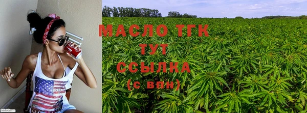 прущие грибы Балахна