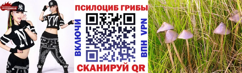 Галлюциногенные грибы Cubensis  Кунгур 